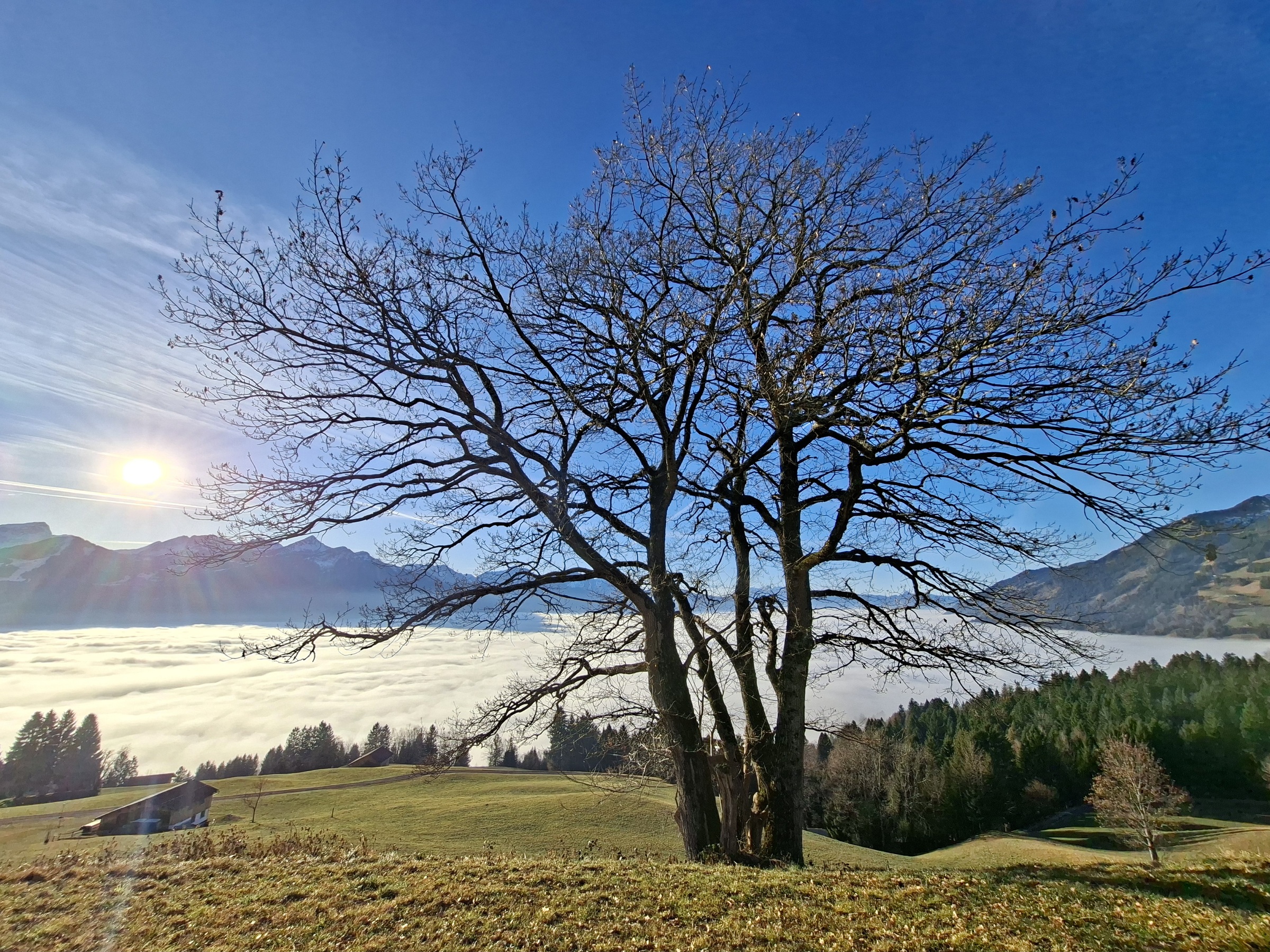 Spazieren gegen über den Wolken