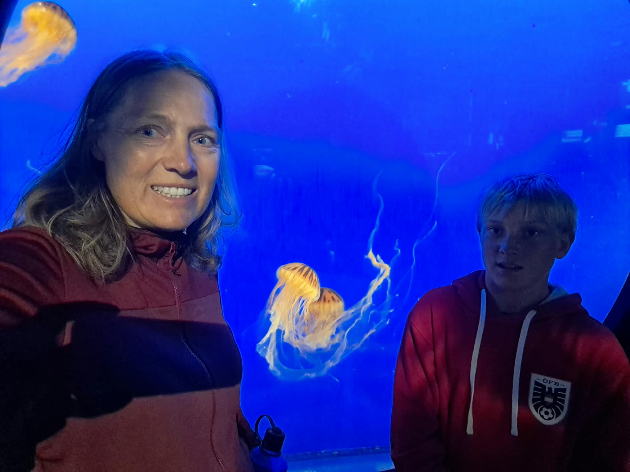 Stanly Park – Vancouver Aquarium – day 22